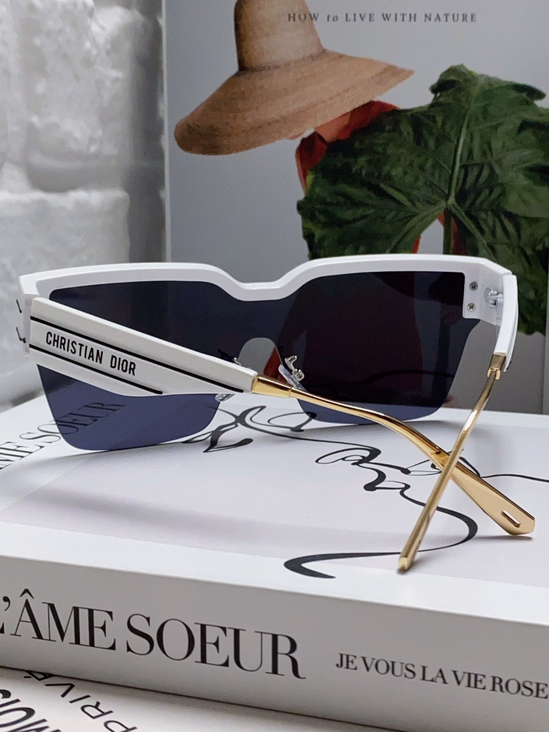 Dior Club One-Piece Goggles, Tall Edition Decorated with Dior Oblique for a modern Dior look