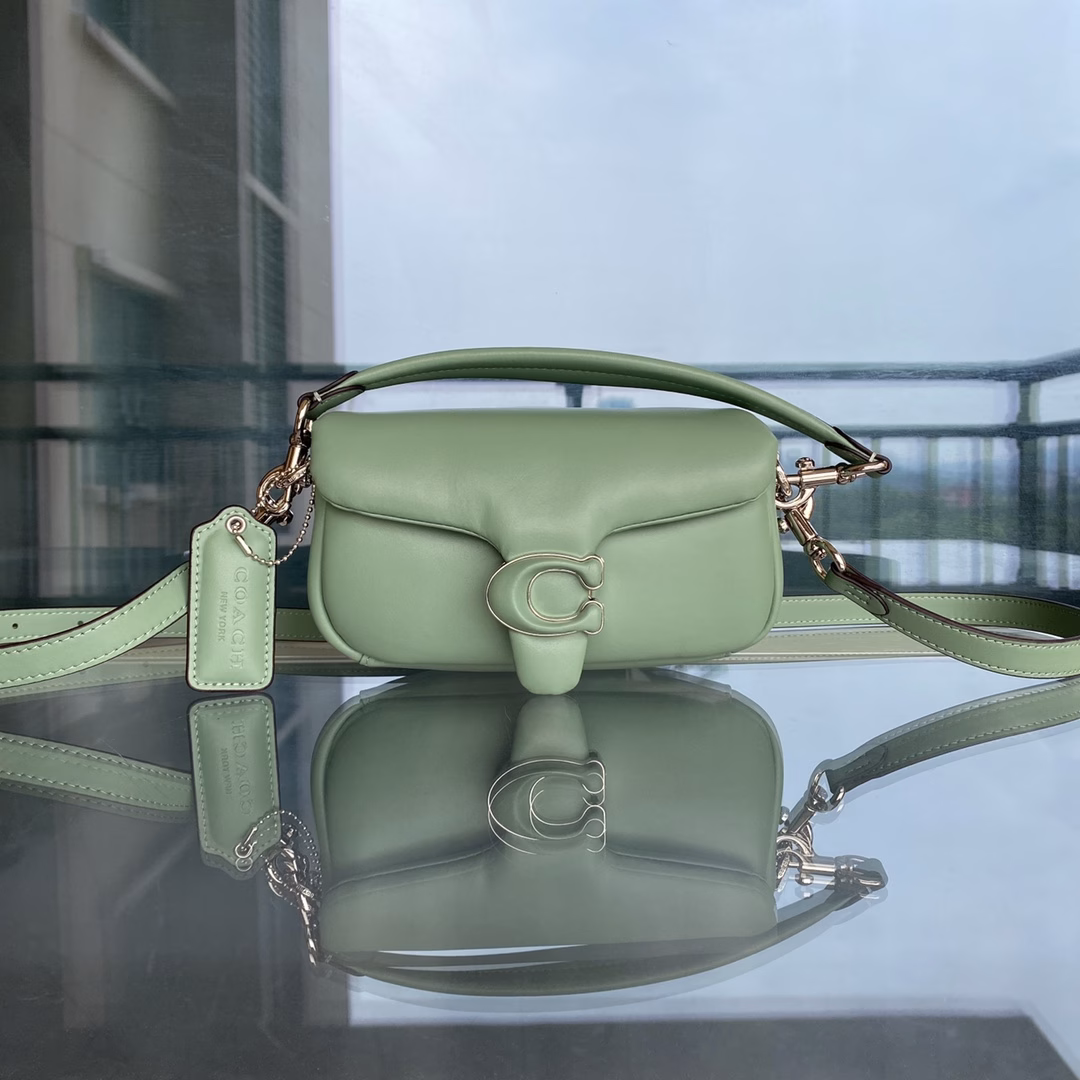 New C home c0772 Dionysus bag new Pillow tabby cowhide pillow crossbody shoulder bag Retro cloud bag, soft and smooth to the touch Soft fufu, very delicate and fashionable