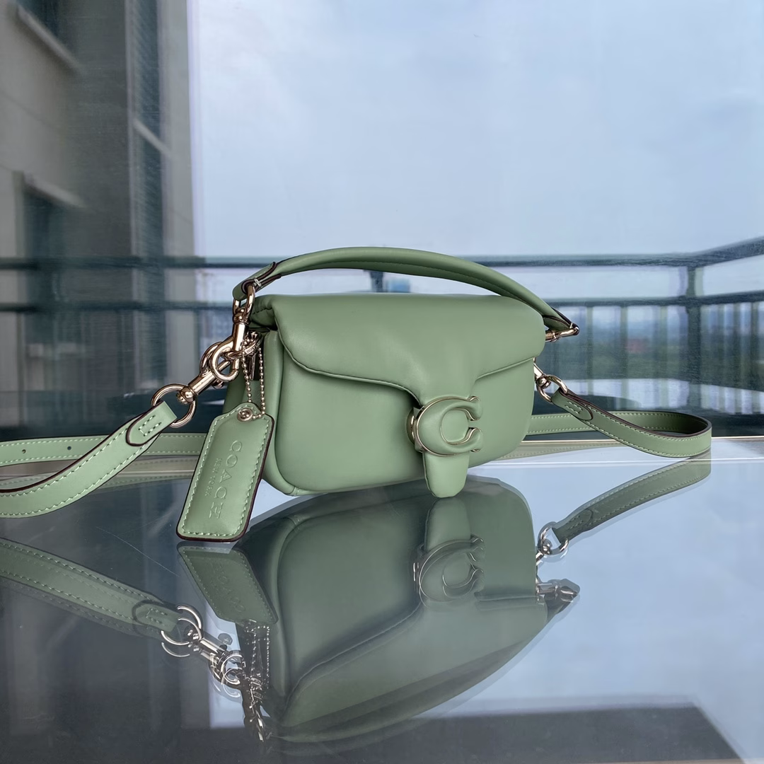 New C home c0772 Dionysus bag new Pillow tabby cowhide pillow crossbody shoulder bag Retro cloud bag, soft and smooth to the touch Soft fufu, very delicate and fashionable
