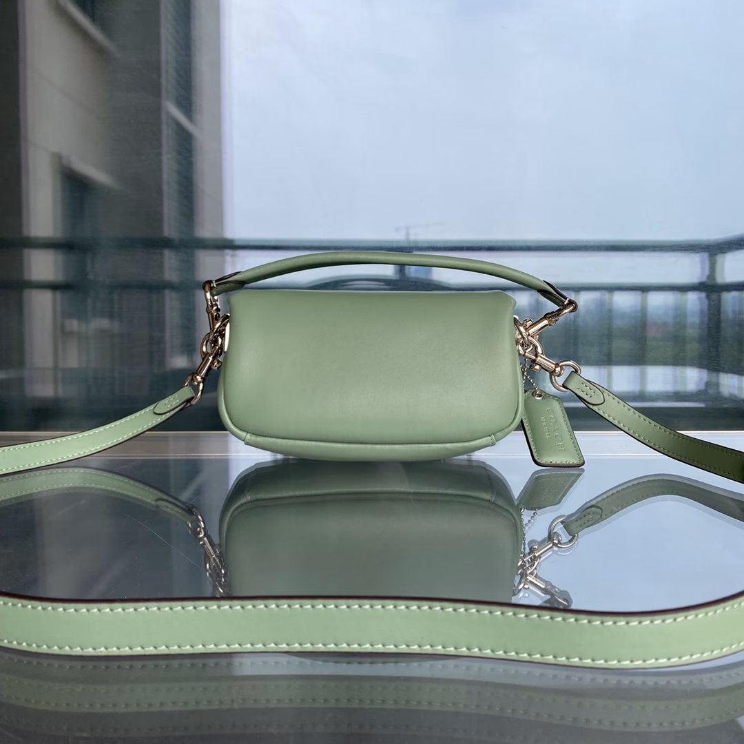 New C home c0772 Dionysus bag new Pillow tabby cowhide pillow crossbody shoulder bag Retro cloud bag, soft and smooth to the touch Soft fufu, very delicate and fashionable
