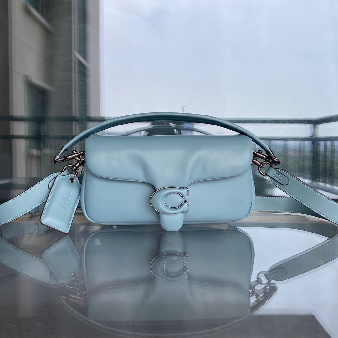 New C home c0772 Dionysus bag new Pillow tabby cowhide pillow crossbody shoulder bag Retro cloud bag, soft and smooth to the touch Soft fufu, very delicate and fashionable