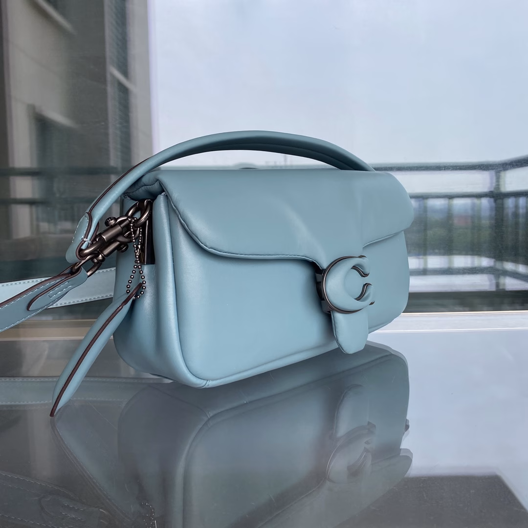 New C home c0772 Dionysus bag new Pillow tabby cowhide pillow crossbody shoulder bag Retro cloud bag, soft and smooth to the touch Soft fufu, very delicate and fashionable