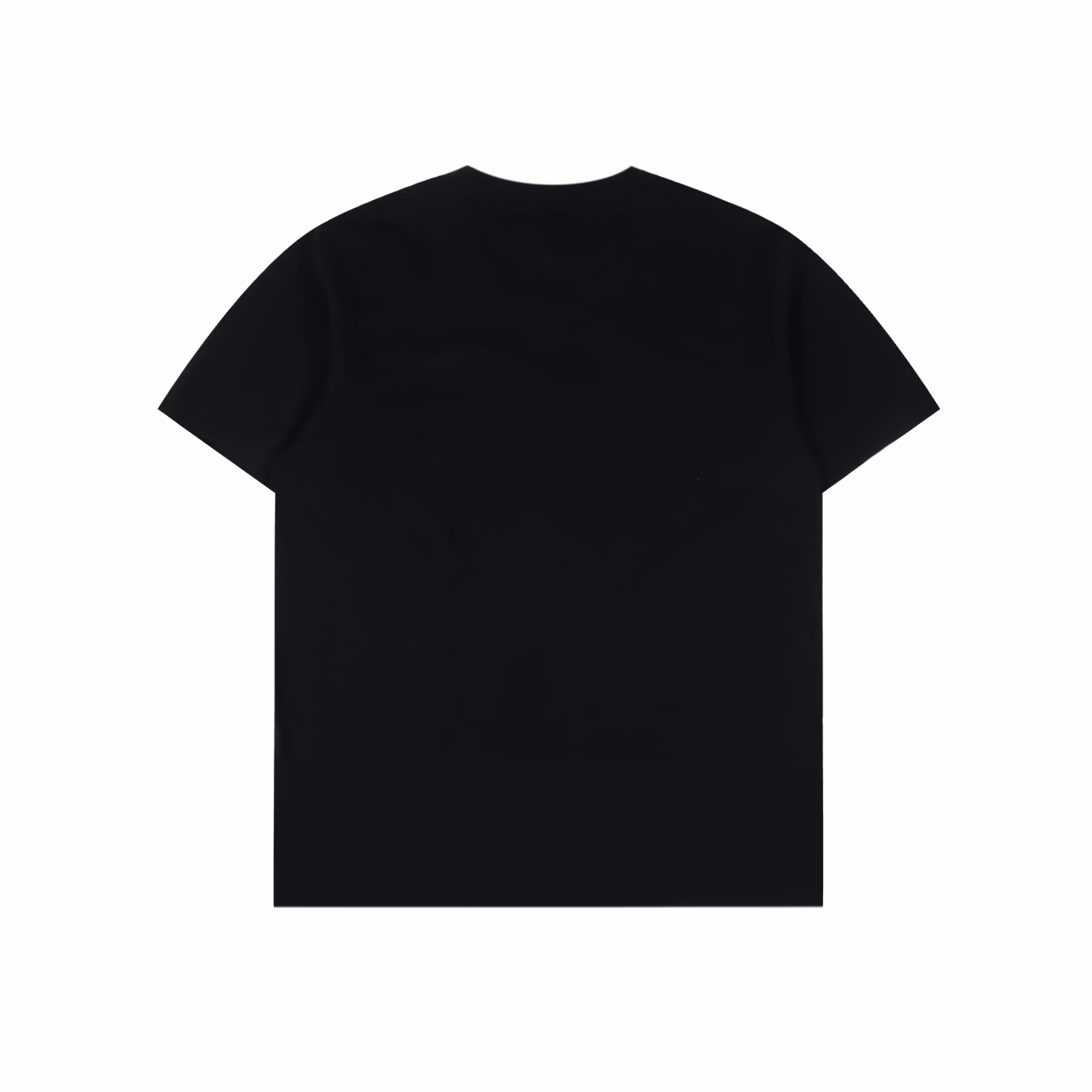EVISU men's Xiangyun embroidery regular style casual trendy men's streetwear T-shirt