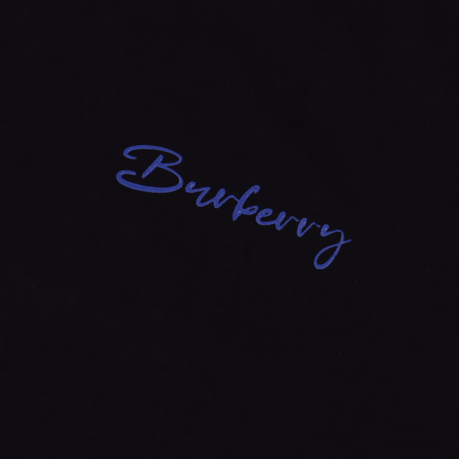 Burberry BBR25ss Blurry Warhorse short-sleeved T-shirt