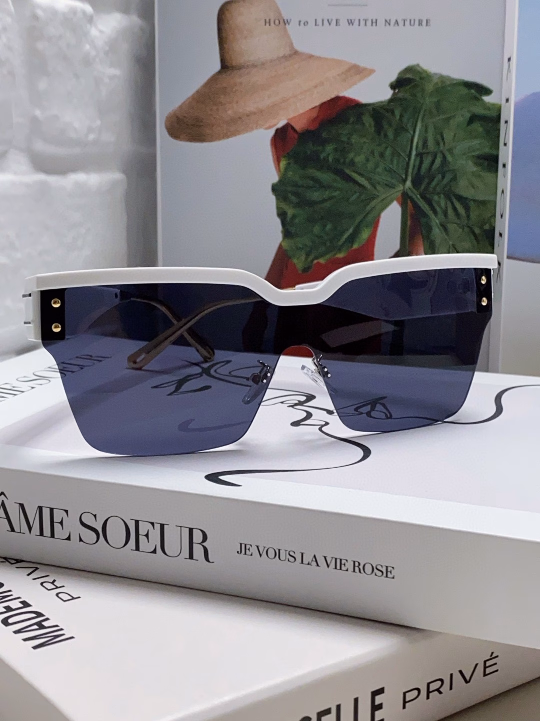 DiorClub one-piece goggles, high version Decorated with Dior Oblique pattern for a modern Dior look
